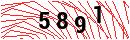 Security Verification