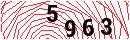 Security Verification