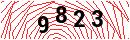 Security Verification