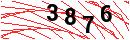 Security Verification
