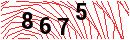 Security Verification