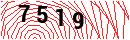 Security Verification