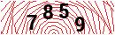 Security Verification