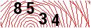 Security Verification