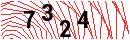 Security Verification
