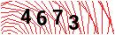 Security Verification