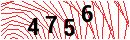 Security Verification
