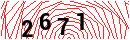 Security Verification