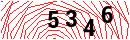 Security Verification