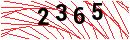 Security Verification