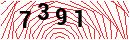 Security Verification