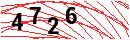 Security Verification