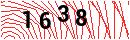 Security Verification