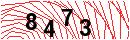 Security Verification