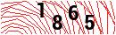 Security Verification