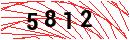 Security Verification