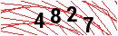 Security Verification