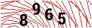 Security Verification