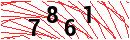 Security Verification