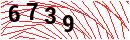 Security Verification