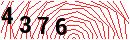Security Verification