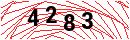 Security Verification