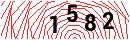 Security Verification