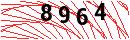Security Verification