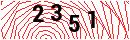 Security Verification