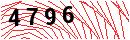 Security Verification