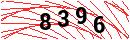 Security Verification