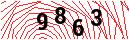 Security Verification