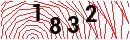 Security Verification