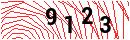 Security Verification