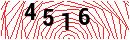 Security Verification
