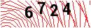 Security Verification