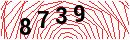 Security Verification