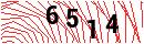 Security Verification