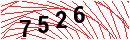 Security Verification