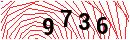 Security Verification