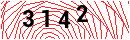 Security Verification