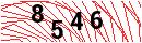 Security Verification