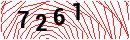 Security Verification