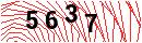Security Verification
