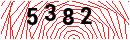 Security Verification