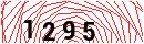 Security Verification