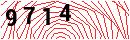 Security Verification
