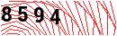 Security Verification