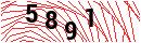 Security Verification