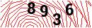 Security Verification